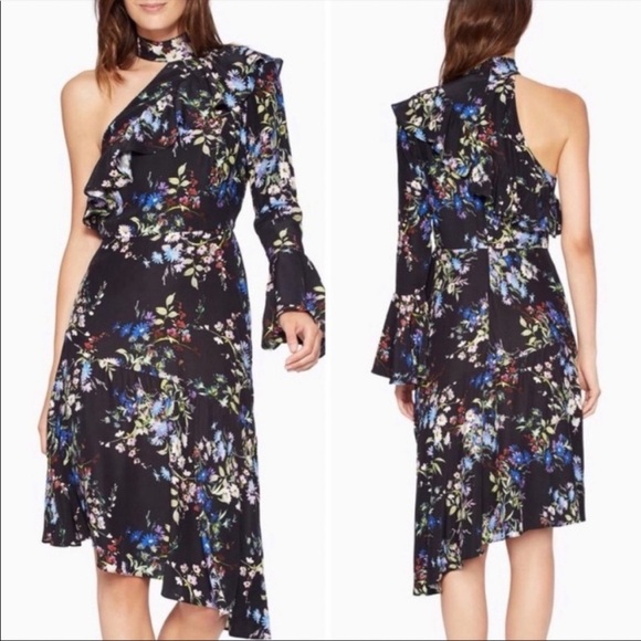Parker One Sleeve Silk Black Asymmetric Ruffle Dress 6 Dark Floral Flounce - Picture 1 of 12